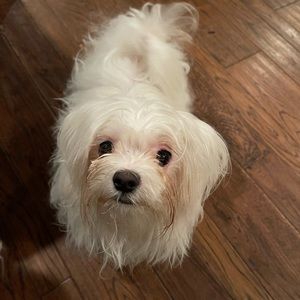 Meet your Posher, Karen